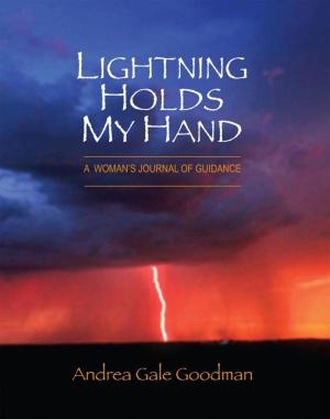Cover of the book Lightning Holds My Hand by Tom McKinley
