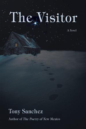 Book cover of The Visitor