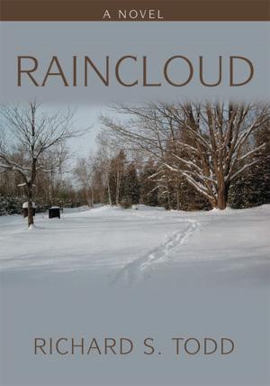 bigCover of the book Raincloud by 