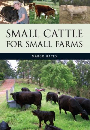 Cover of the book Small Cattle for Small Farms by Nick Romanowski