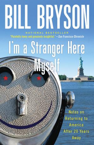 Cover of the book I'm a Stranger Here Myself by Bernadette T Wallis