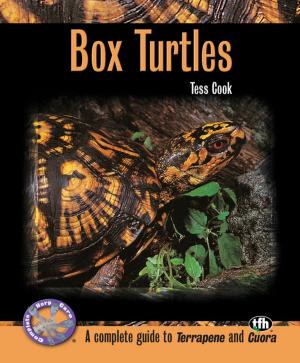 Cover of the book Box Turtles (Complete Herp Care) by Bobbye Land