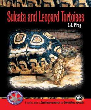 Cover of the book Sulcata and Leopard Tortoises (Complete Herp Care) by Sheila Webster Boneham, Ph.D.