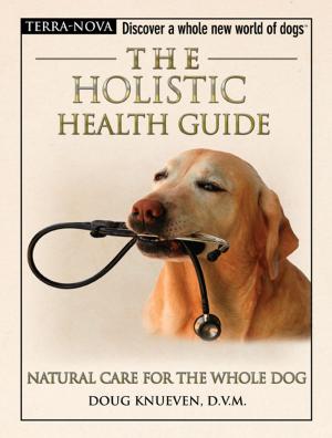Cover of the book The Holistic Health Guide by Delia Berlin