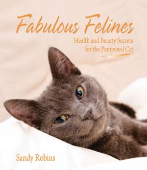 Cover of the book Fabulous Felines by Rebecca K. O'Connor