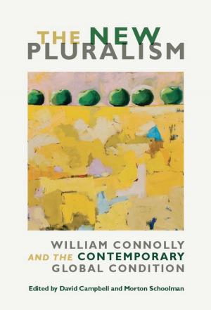 Cover of the book The New Pluralism by Gregory Mann, Julia Adams, George Steinmetz