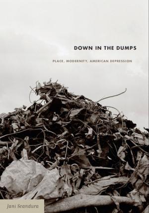 Cover of the book Down in the Dumps by Libby Schweber, Julia Adams, George Steinmetz