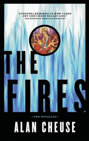 Cover of the book Fires by Elizabeth Geoghegan