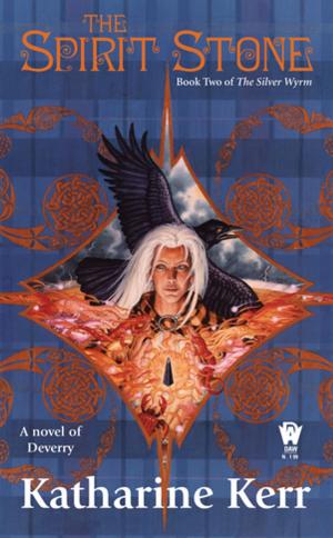 Book cover of The Spirit Stone