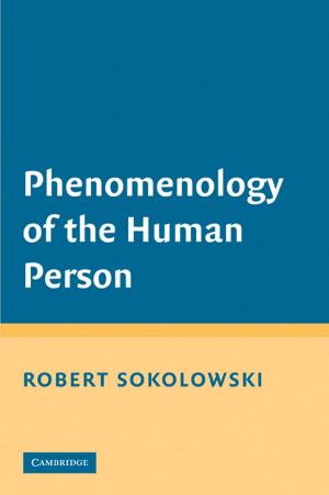 Cover of the book Phenomenology of the Human Person by R. E. Sheriff, L. P. Geldart