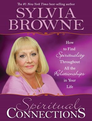 Cover of the book Spiritual Connections by Tricia Lavoice