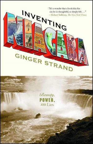 Cover of the book Inventing Niagara by Lisa Glatt