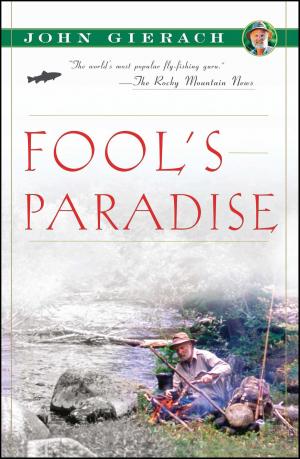 Cover of the book Fool's Paradise by John Skinner