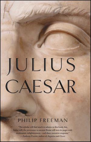 Cover of the book Julius Caesar by Gary Greenberg