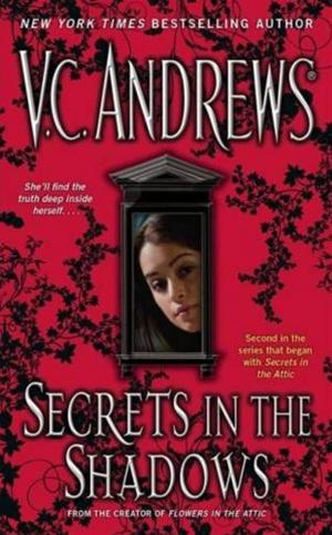 Book cover of Secrets in the Shadows