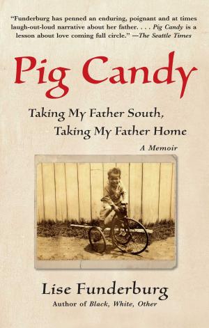 Cover of the book Pig Candy by Meghan Weir