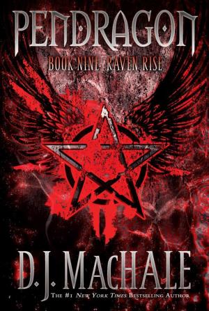 Cover of the book Raven Rise by Lindsay Currie