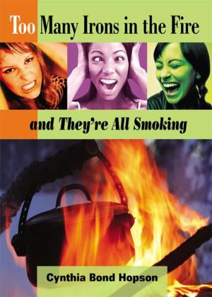 Book cover of Too Many Irons in the Fire