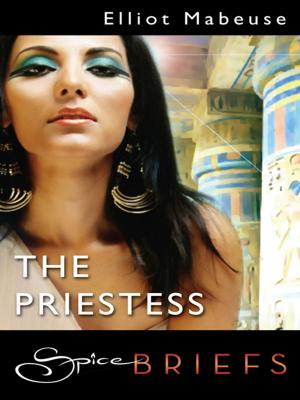 Cover of the book The Priestess by Deborah Kalin