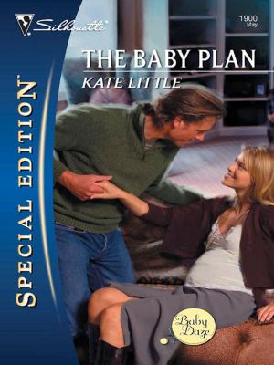 Book cover of The Baby Plan