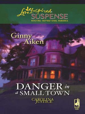 Book cover of Danger in a Small Town