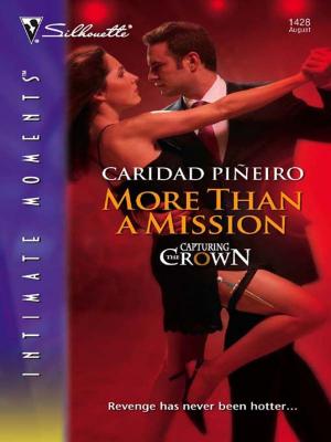 Cover of the book More Than a Mission by Katherine Garbera