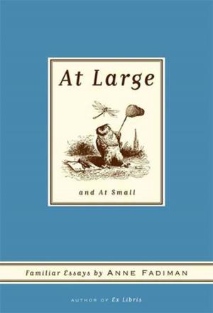 Cover of the book At Large and At Small by C. K. Williams