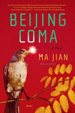 Book cover of Beijing Coma