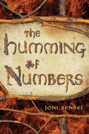 Cover of the book The Humming of Numbers by Janet Tashjian