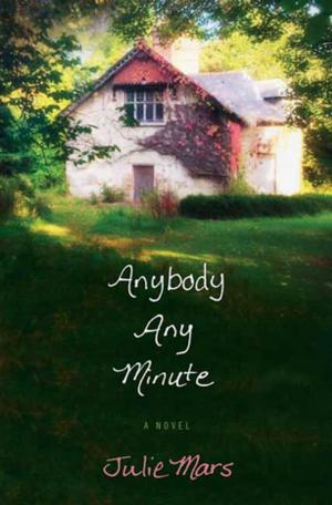 Cover of the book Anybody Any Minute by Cynthia Riggs