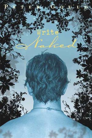 Cover of the book Write Naked by Deborah Diesen