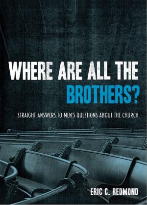 Cover of the book Where Are All the Brothers? by Thabiti M. Anyabwile