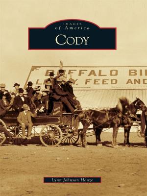 Cover of the book Cody by Wayne Kirklin