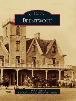 Cover of the book Brentwood by Anne Martin