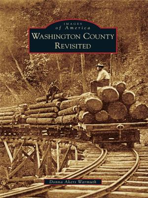 Cover of the book Washington County Revisited by Robin Chandler-Miles, Norma Miles