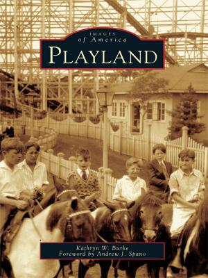 Cover of the book Playland by Игорь Афонский