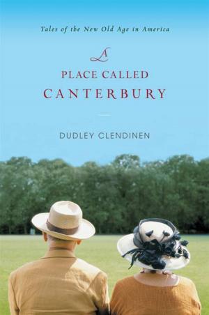 Cover of the book A Place Called Canterbury by Guy Brewer