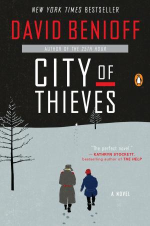 Cover of the book City of Thieves by Carol Kranowitz, Joye Newman