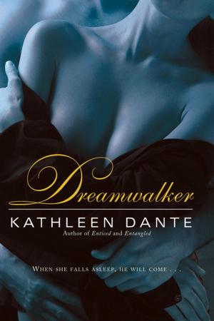 Cover of the book Dreamwalker by K. Bromberg