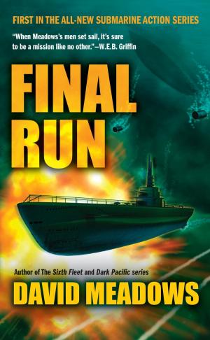 Cover of the book Final Run by Rebecca Tran