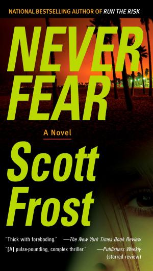 Cover of the book Never Fear by Chris DeRose, Noel M. Tichy