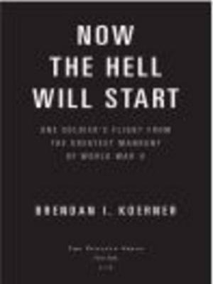Cover of the book Now the Hell Will Start by Katharine McMahon
