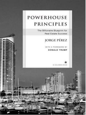 Cover of the book Powerhouse Principles by Jon Sharpe