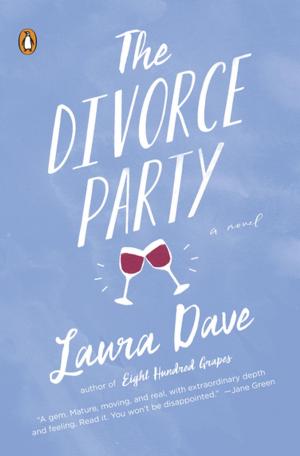 Cover of the book The Divorce Party by Gary Ginsberg, Brian Toal