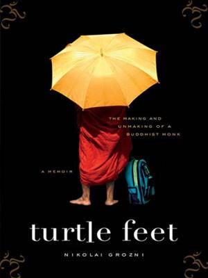 Cover of the book Turtle Feet by LuAnn McLane
