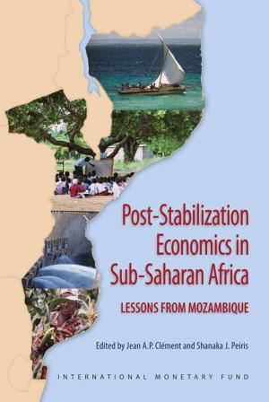Cover of the book Post-Stabilization Economics in Sub-Saharan Africa: Lessons from Mozambique by Omotunde Mr. Johnson