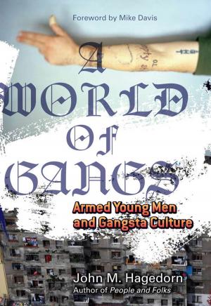 Cover of the book A World of Gangs by Craig Willse