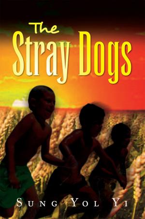 Cover of the book The Stray Dogs by Modupe O. Adeleye