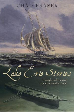 Cover of the book Lake Erie Stories by Philippa Dowding