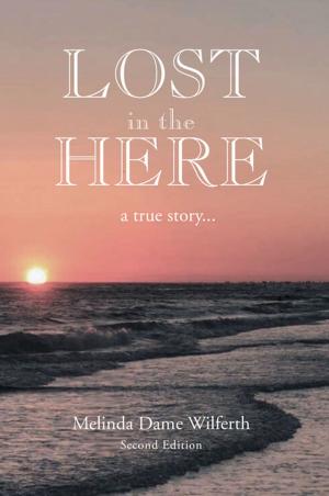 Cover of the book Lost in the Here by C. Joseph Socha